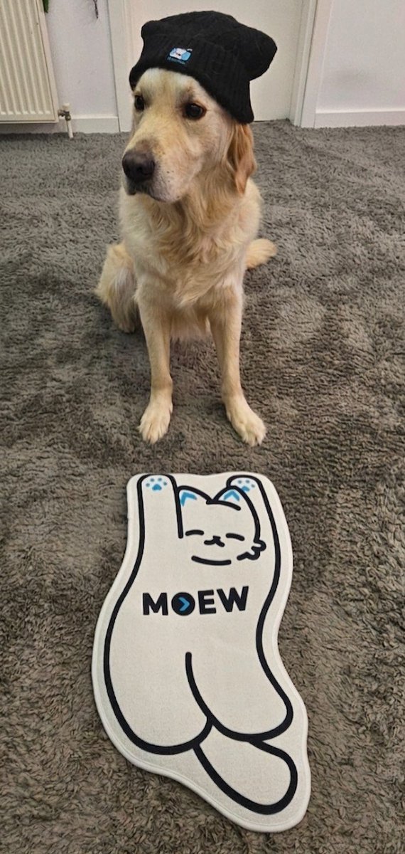 BNB Astronaut 🔶️ tweet media