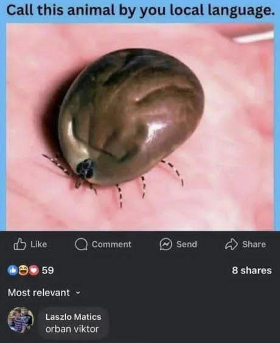 christmastiina tweet media