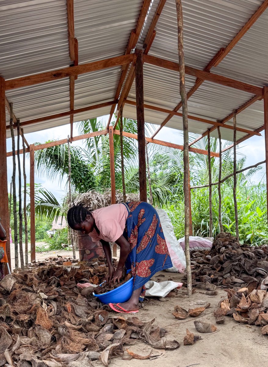 IrMihigo's tweet photo. À Katako 🇨🇩, dans le groupement de Senge, femmes et hommes s’unissent pour produire des briquettes biomasse.

💬 “Main dans la main, produisons notre charbon” 🤝🔥

Une vraie appropriation locale. ♻️

#ChaBoDu #RDC #NIRAS #GIZ
@Enabel_en_RDC @UNCDF @pnudfr @PNUDRDC @FAOclimate https://t.co/P1YWhjfTI7