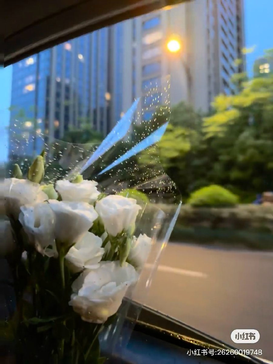 BAO Jilai tweet media