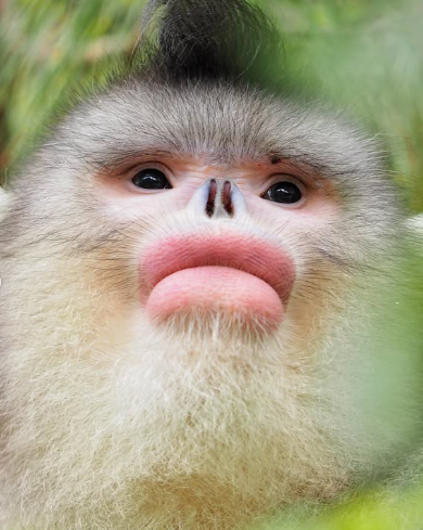 QG do POP tweet media