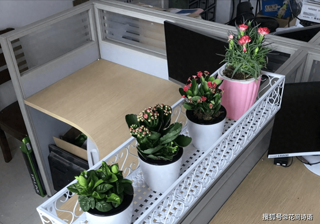 Justin Thompson tweet media