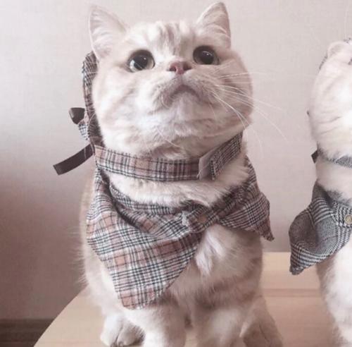 温柔晴晴 tweet media