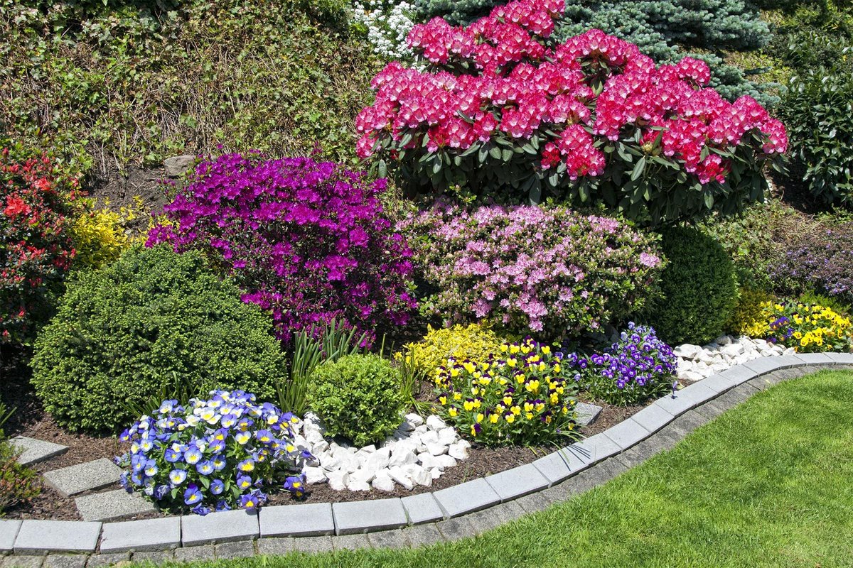 SMWesterly's tweet image. Enjoying beautiful landscaping and gardens at your home doesn't have to break your budget. Check out these creative landscaping ideas that will have your home looking beautiful and the envy of the neighborhood! zurl.co/9QWaK 

#landscaping #gardeningtips #hometips