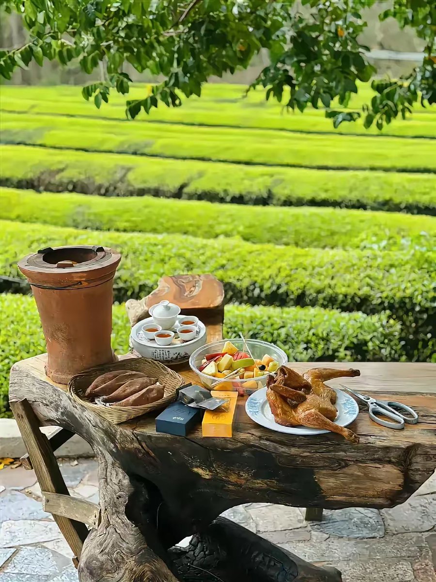 Desert Vista Studios tweet media