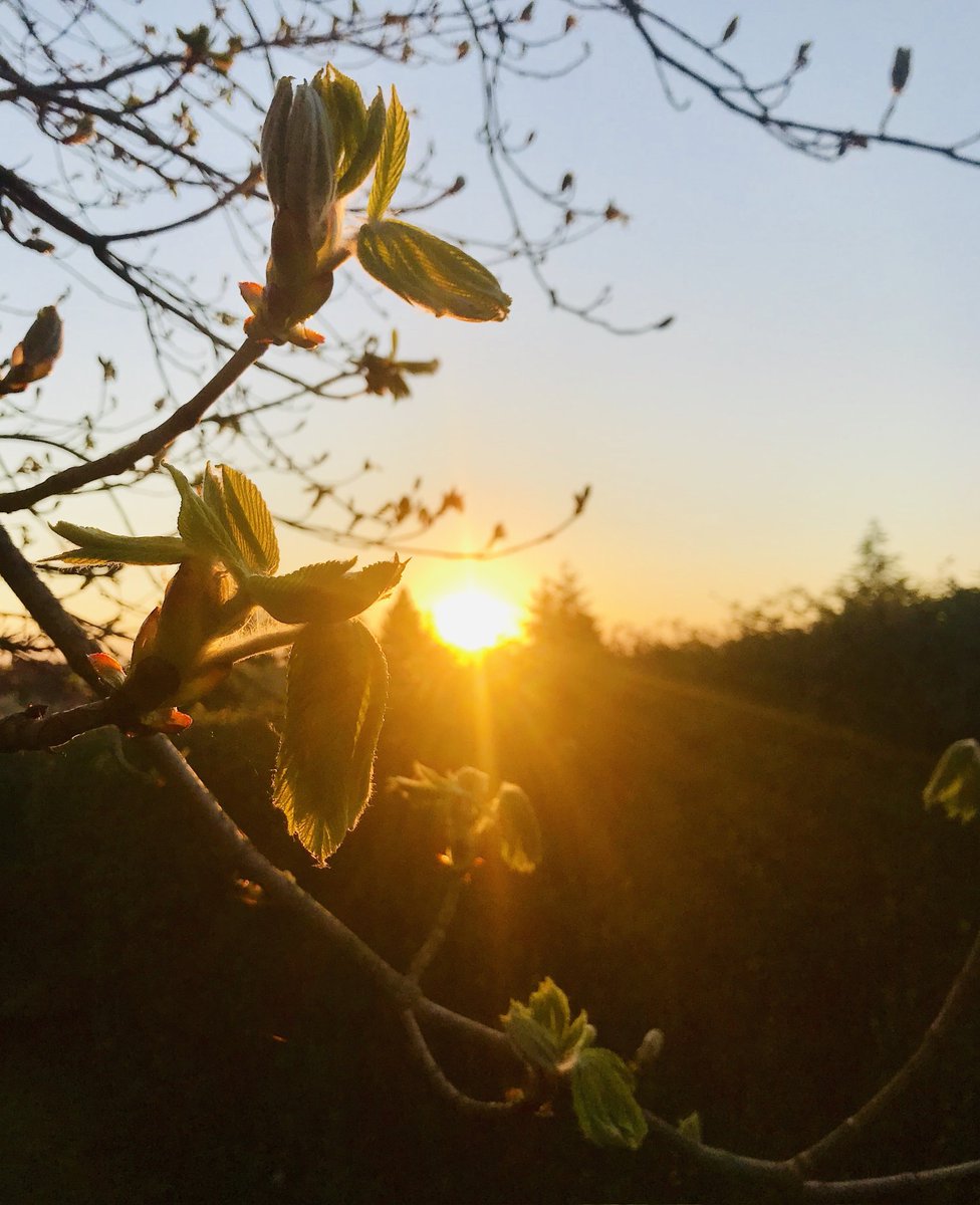 Cian McCarthy tweet media