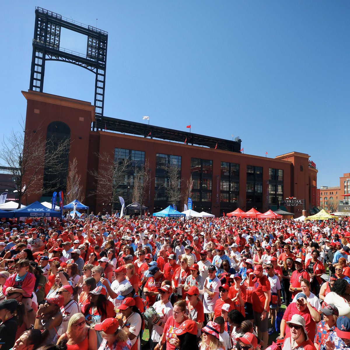 St. Louis Cardinals tweet media