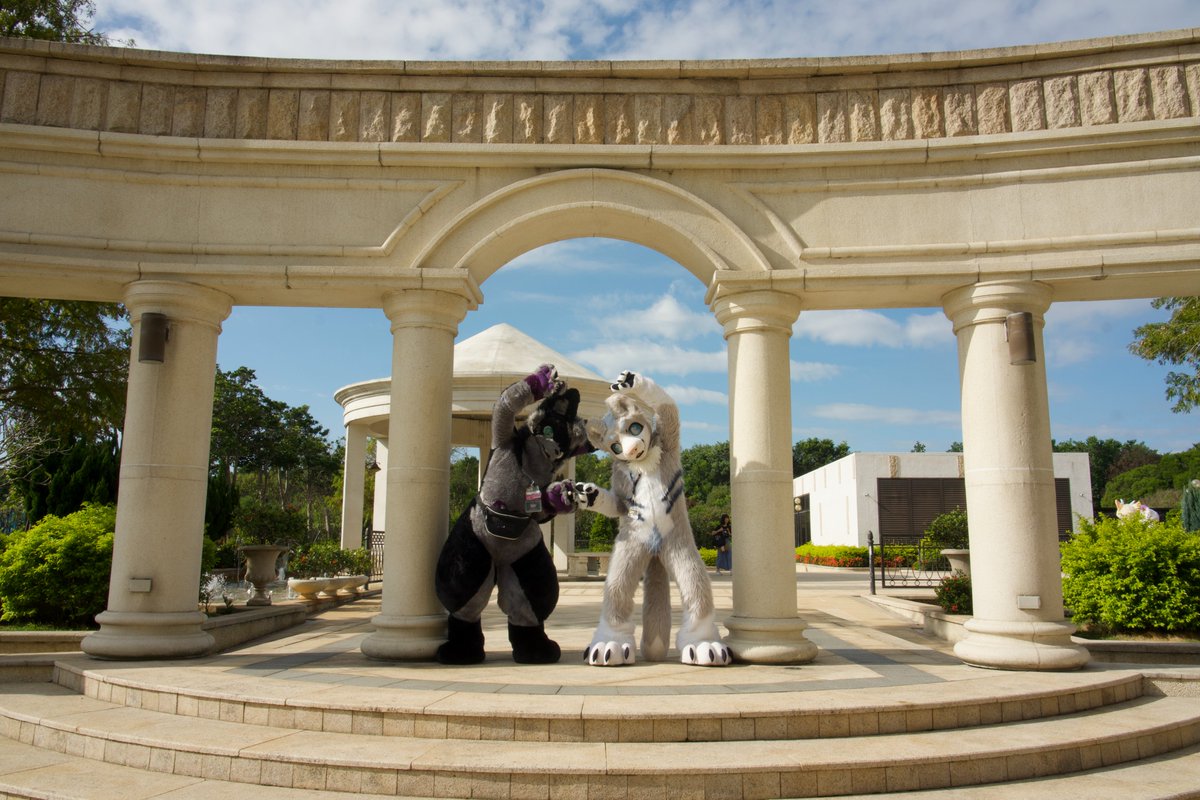 艾可皮恩&泰爾 tweet media