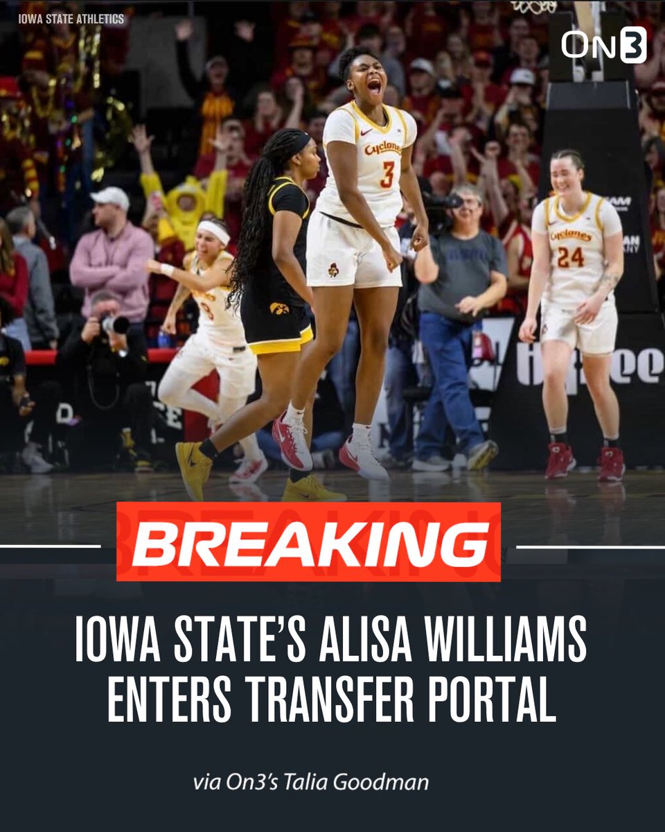 Talia Goodman tweet media