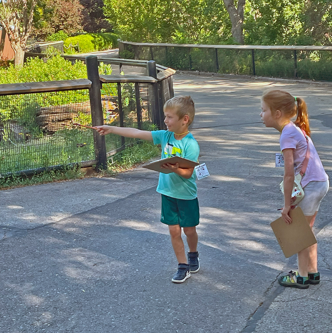 RollingHillsZoo tweet media