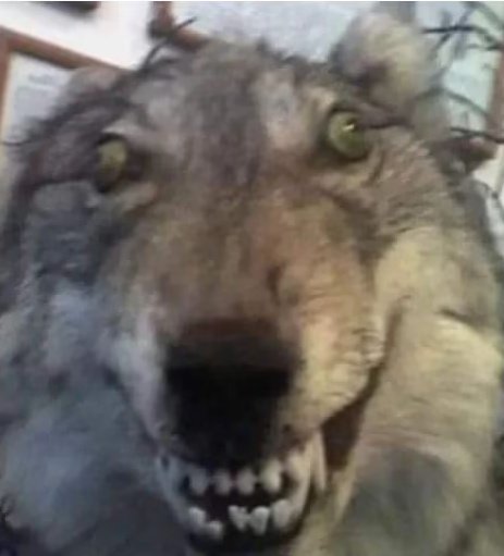 Kei ☁︎ tweet media