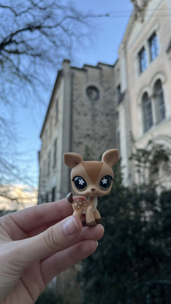 lou ✮꙳⋆☽ tweet media