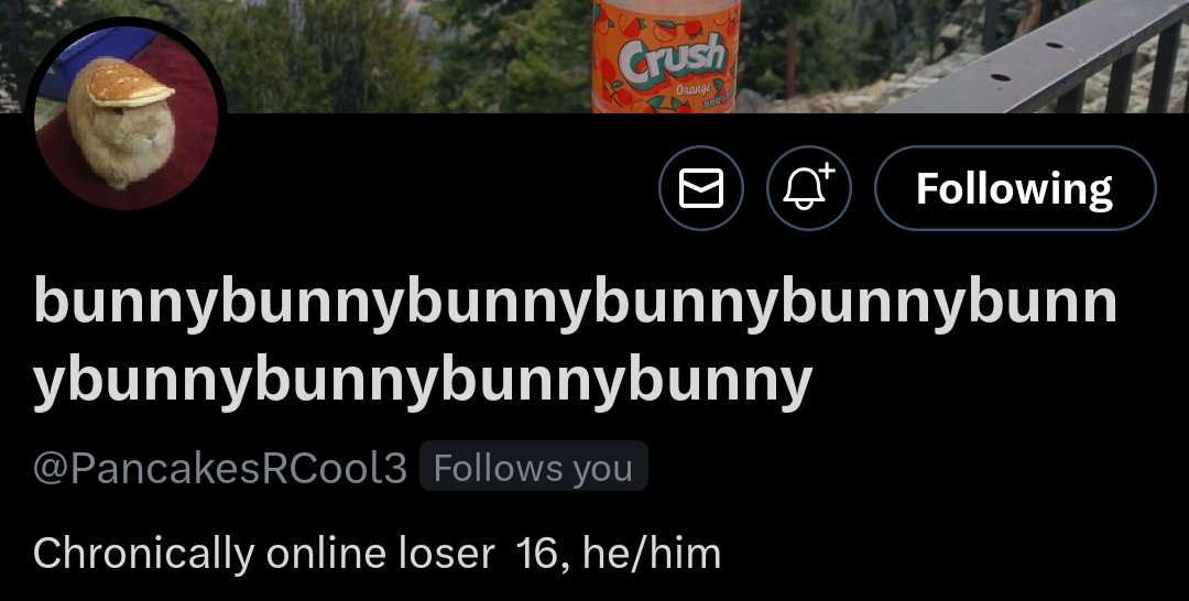 tosterzy tweet media