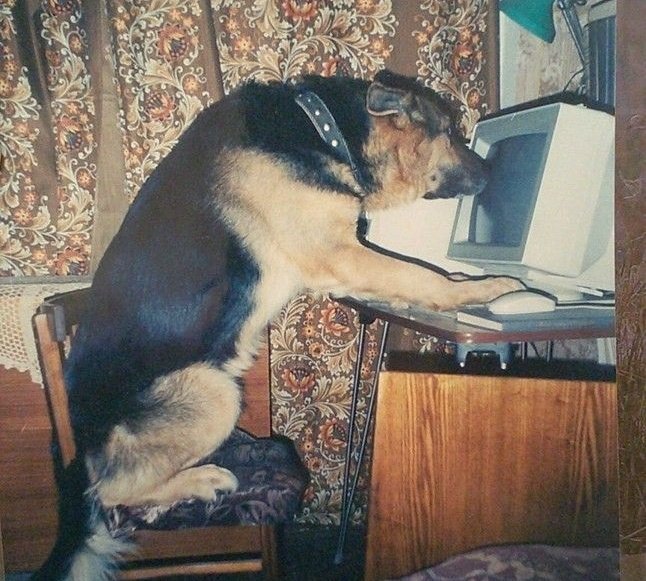 Amelia ☆ ENHYPEN IS 7 tweet media