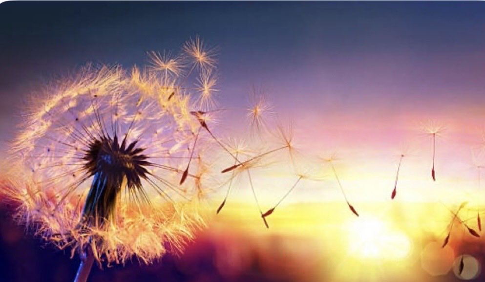 Barbara by the Sea 🌊😎🏖️ tweet media
