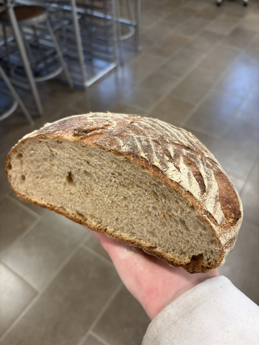 DinosaurFan5 tweet media