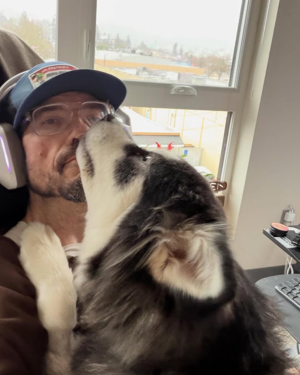 WeRateDogs tweet media