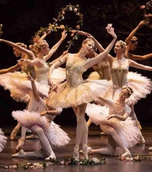 Raphaellini Otelovic tweet media