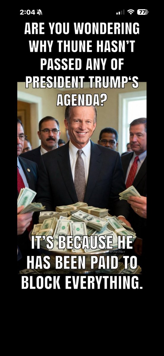 Primrose tweet media