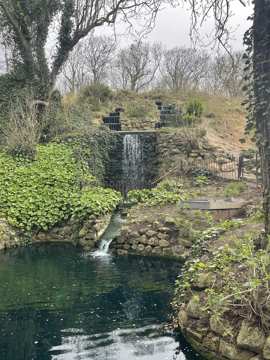 devereux1655's tweet image. More pics from my walk - no dolphins today- must be a bit nippy for them so they have gone back to their pirate ship beneath the sea and will return in warmer days 🐬🐬#walk #sea  #lighthouse