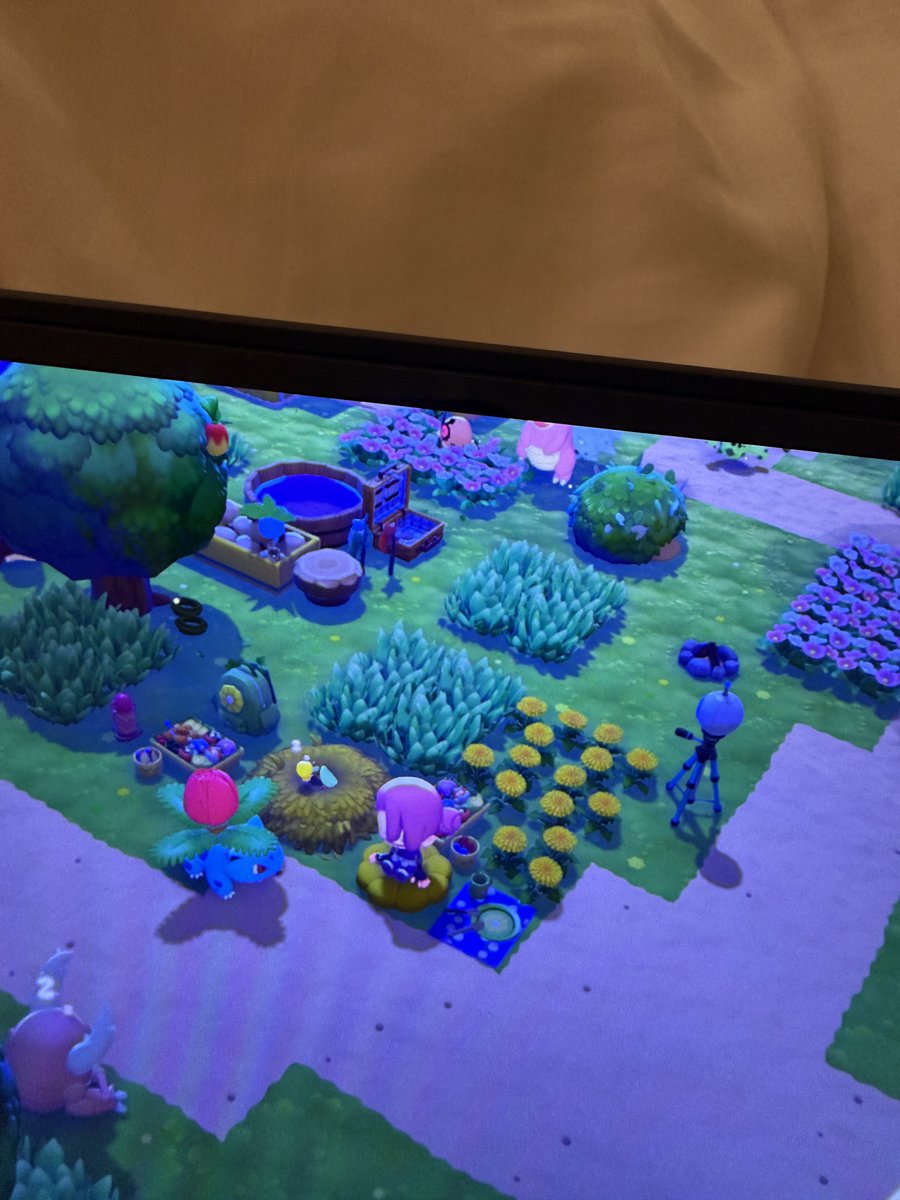 小映 Ruan tweet media