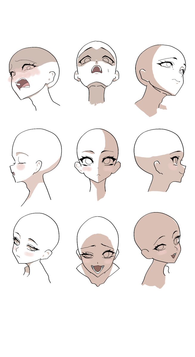 威爾森 WiLSoN 🐾準備中 tweet media