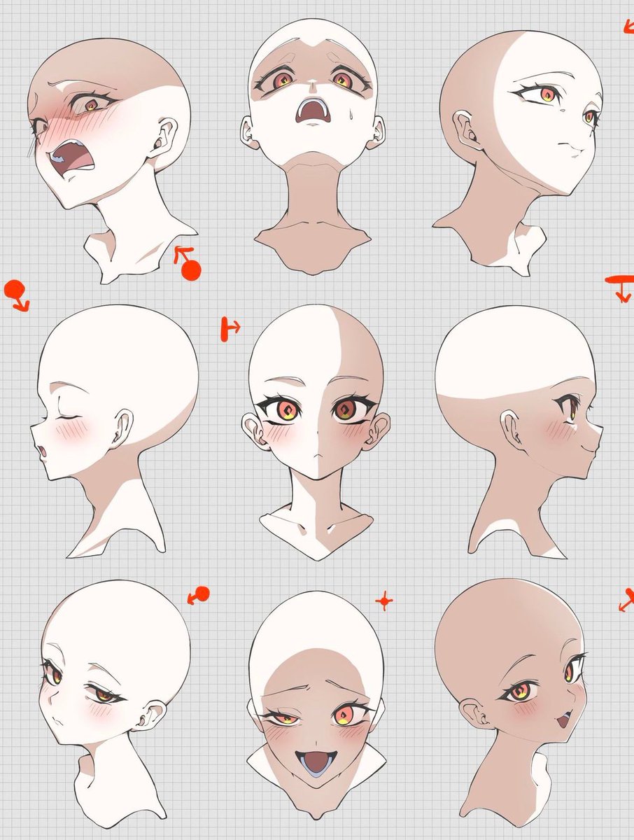 威爾森 WiLSoN 🐾準備中 tweet media