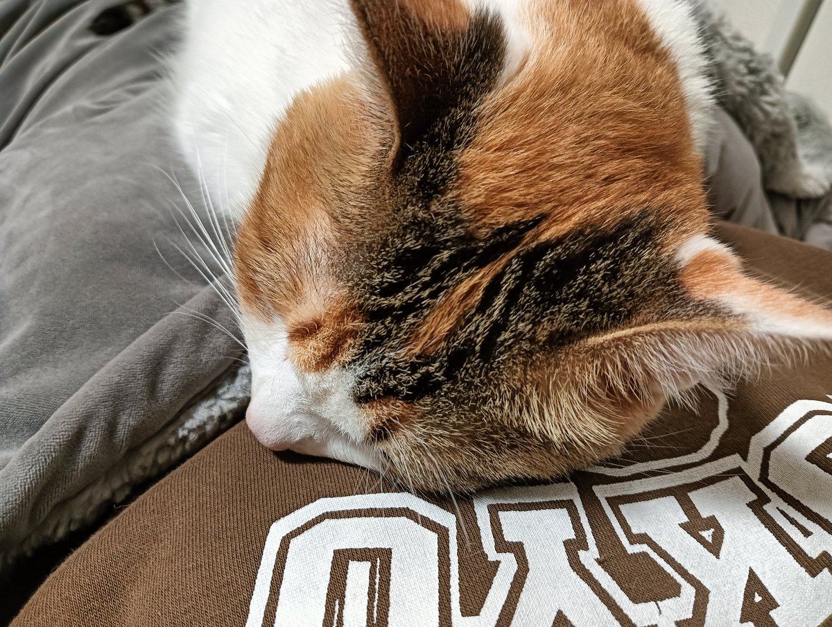 セルゥゥゥゥァァァァァ tweet media