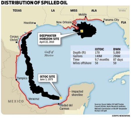 David Ed Castellanos tweet media