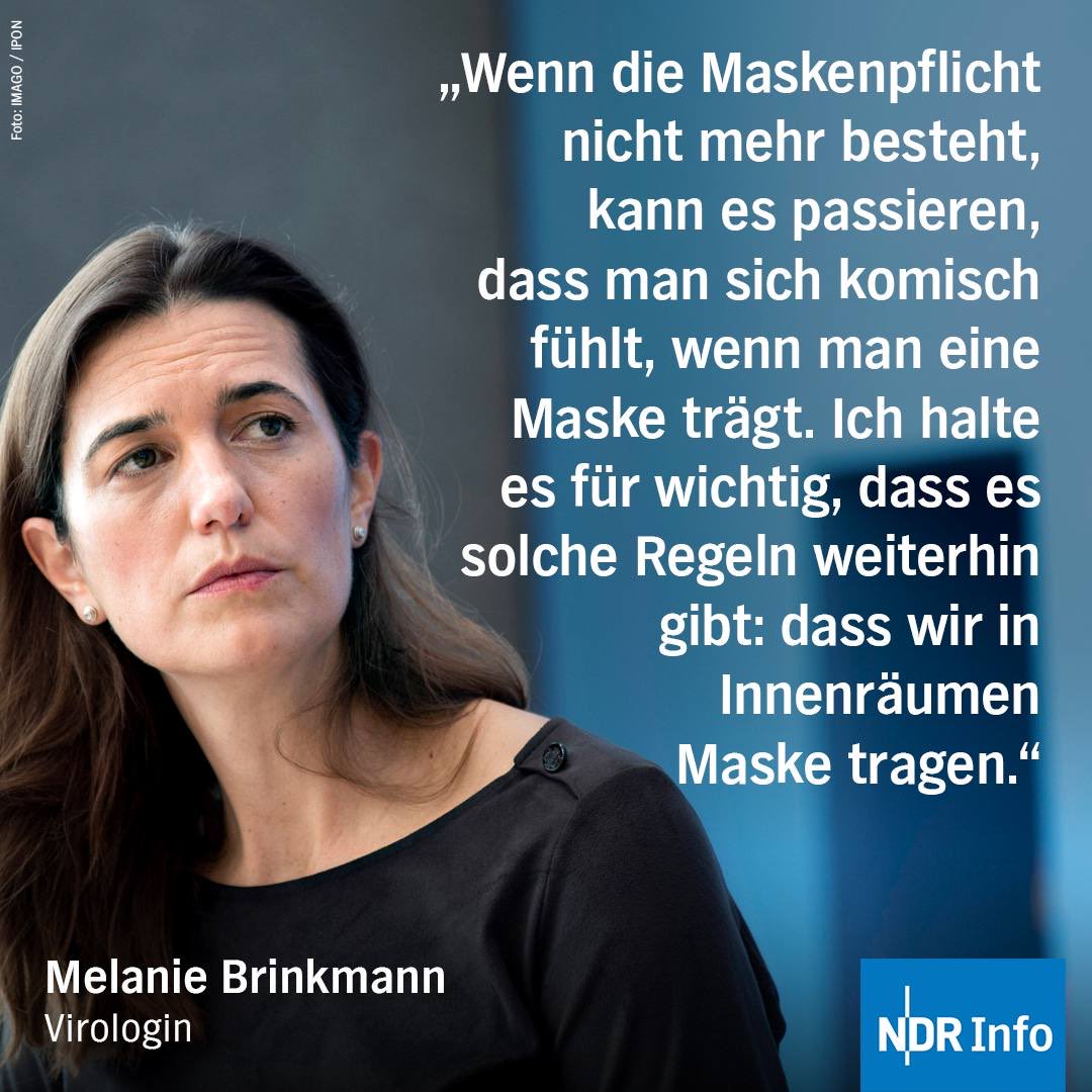 TomBayou tweet media