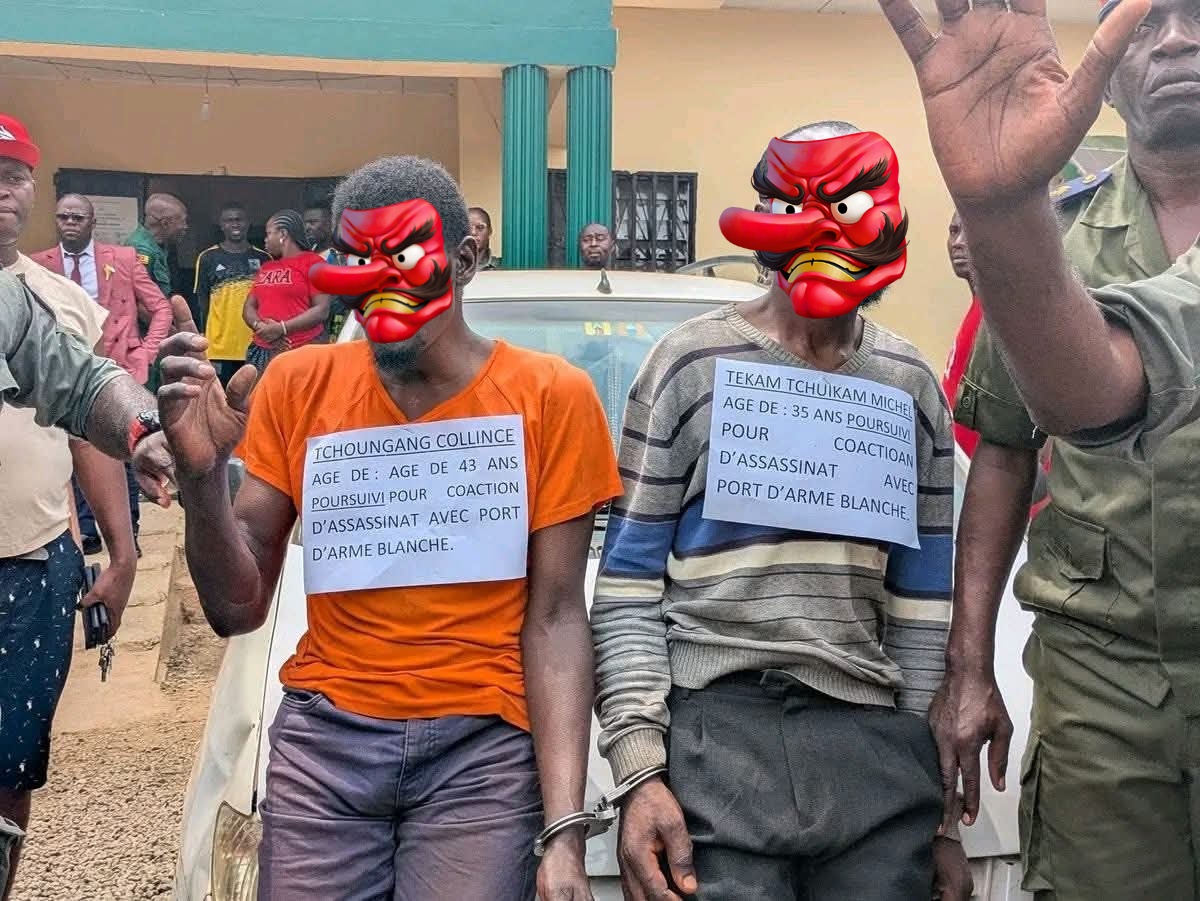 The Cameroonian 🇨🇲 tweet media