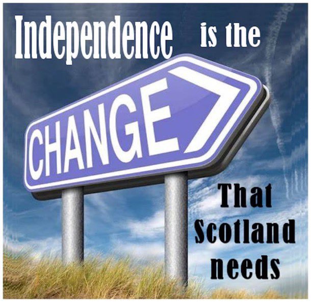 Lesley 🏴 🌻 tweet media