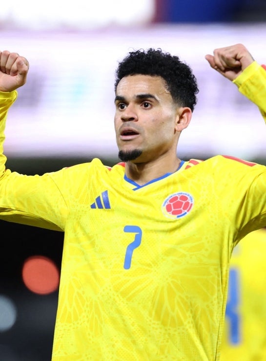 👩🏻🇨🇴 | Dua Lipa: "El 7 de mi brazo es por mi inspiración en Luis Diaz y su forma de jugar. Para mí fue de lo mejor que sacó La Guajira".