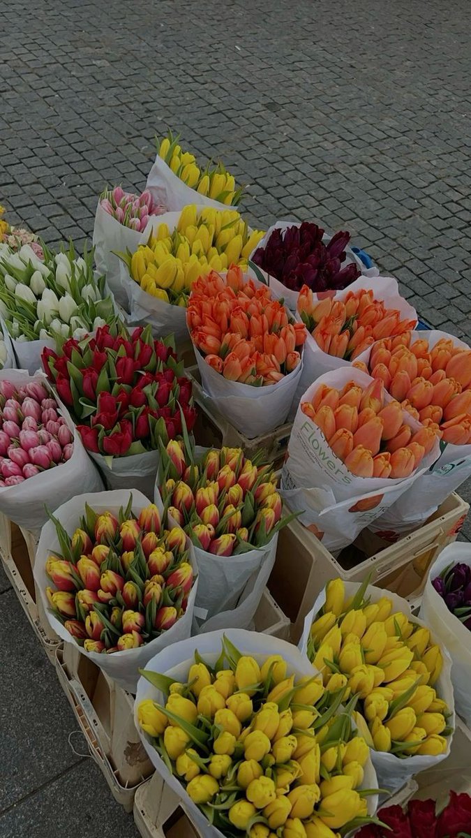 tutututututulip's tweet photo. https://t.co/57Pka8DYoS