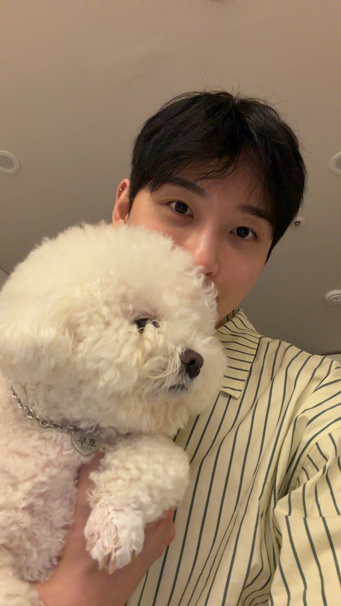 오룡 /•᷅•᷄\Ⳋ tweet media