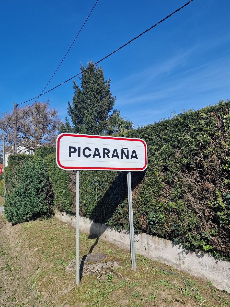 Gennaro Farina✈ tweet media