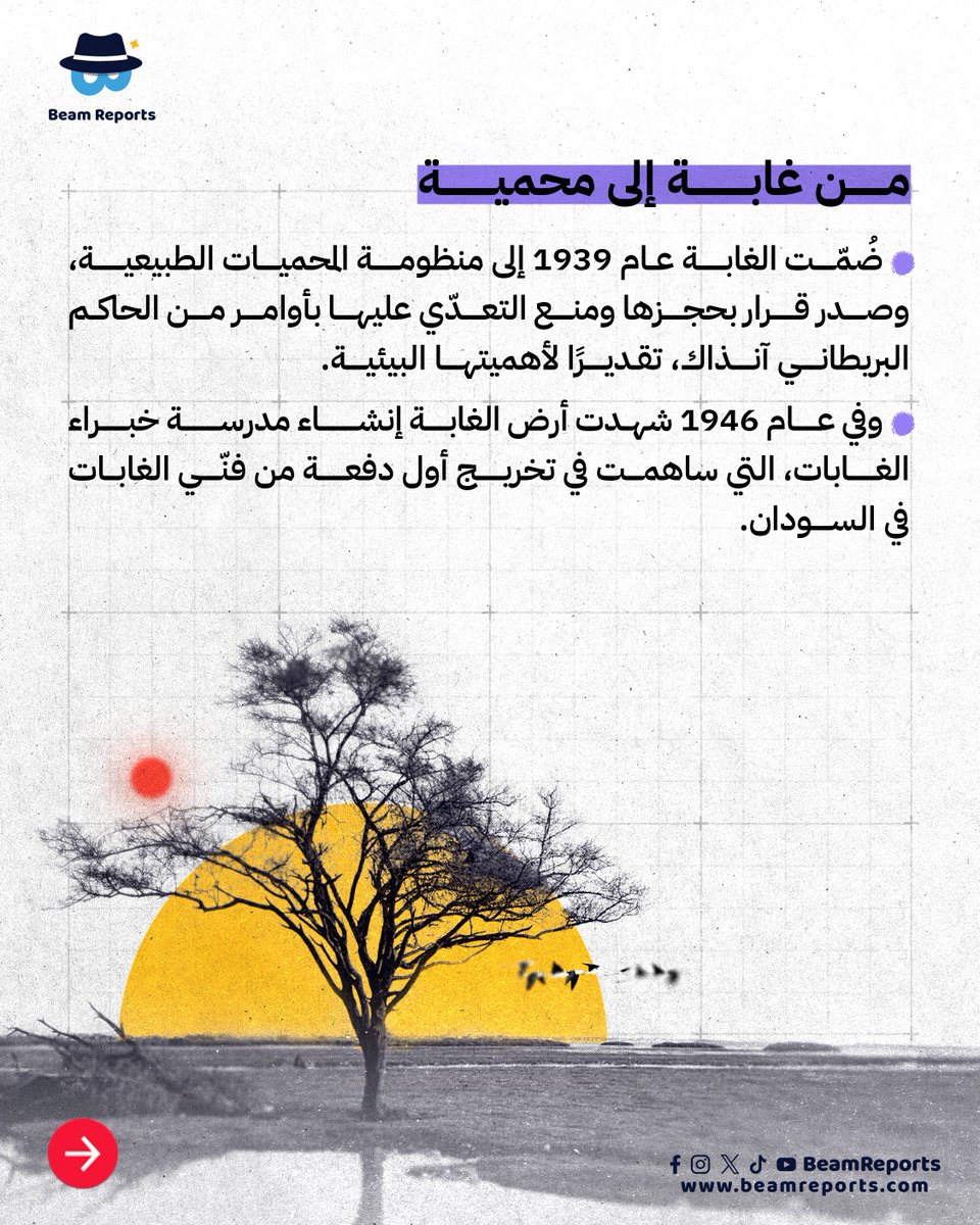 Beam Reports tweet media