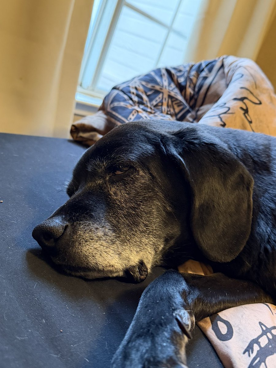 Georgia Mathers ☮️ tweet media