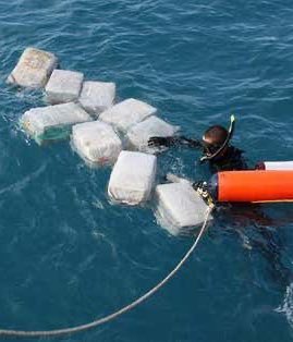 FearBuck tweet media