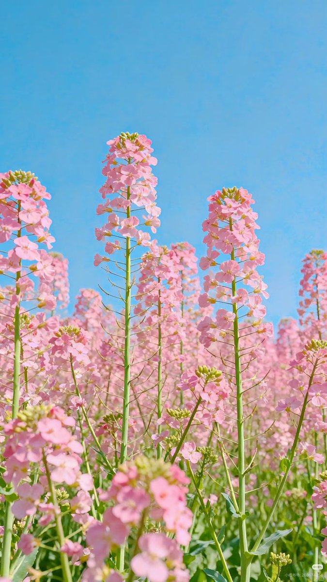 Muhammad Farooq tweet media