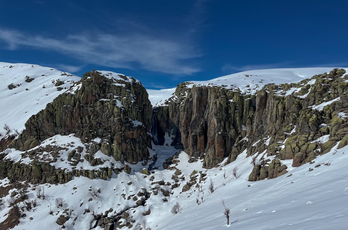 Mehmet Akça tweet media