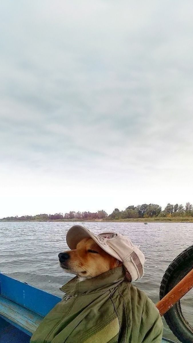 Creationsartss tweet media