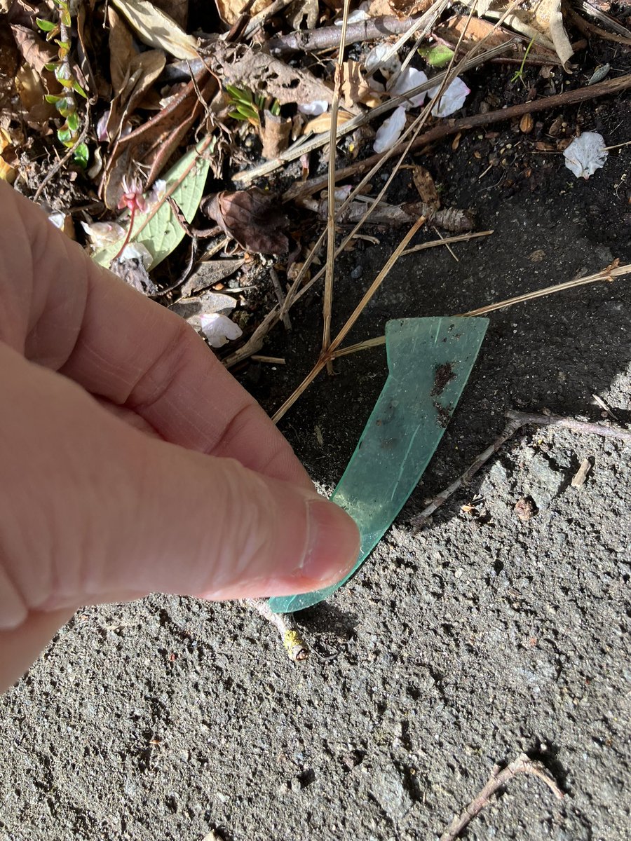 @_pickuplitter tweet media