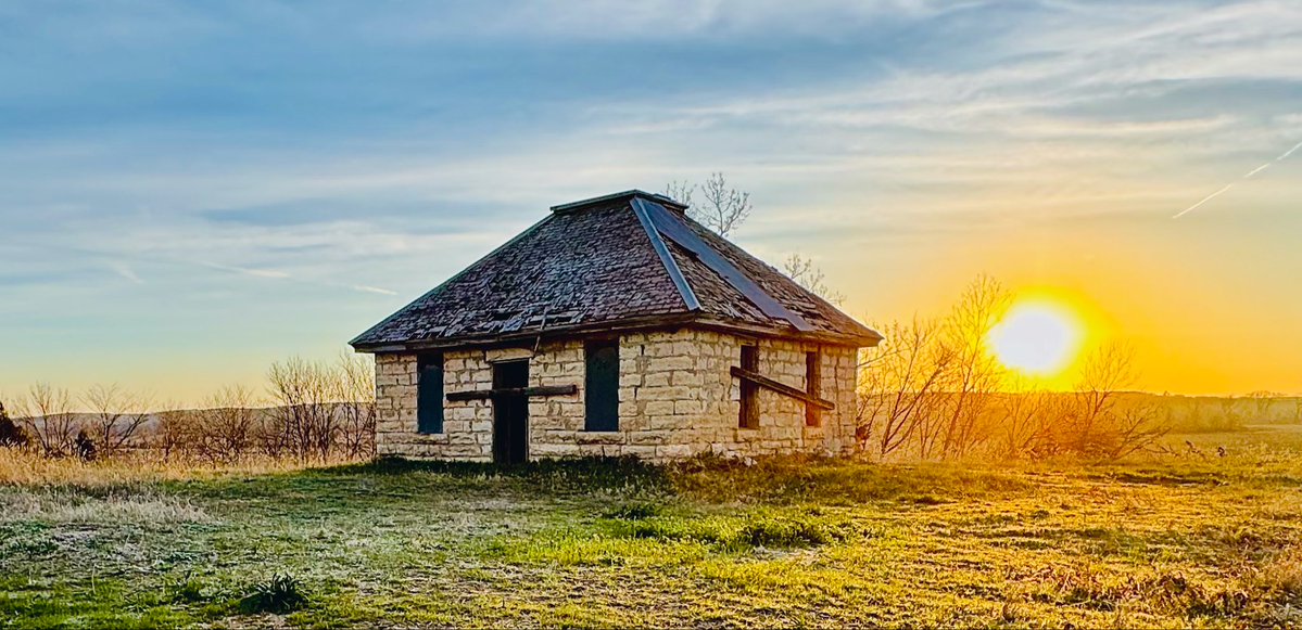 D Miller tweet media