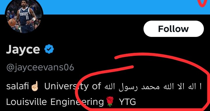 A Por La 16 tweet media