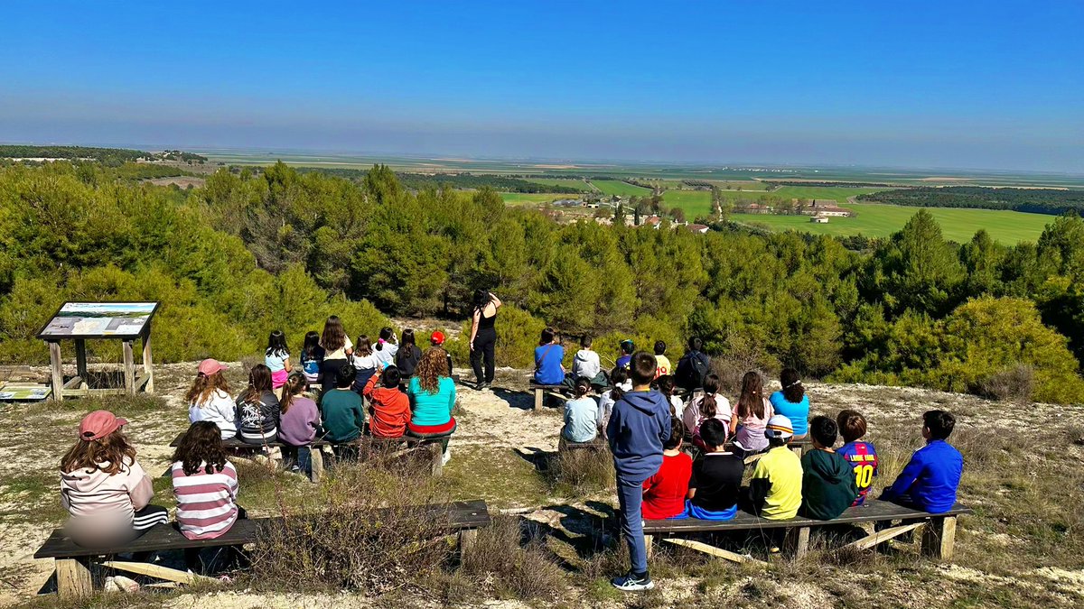 CEIP PEDRO I tweet media