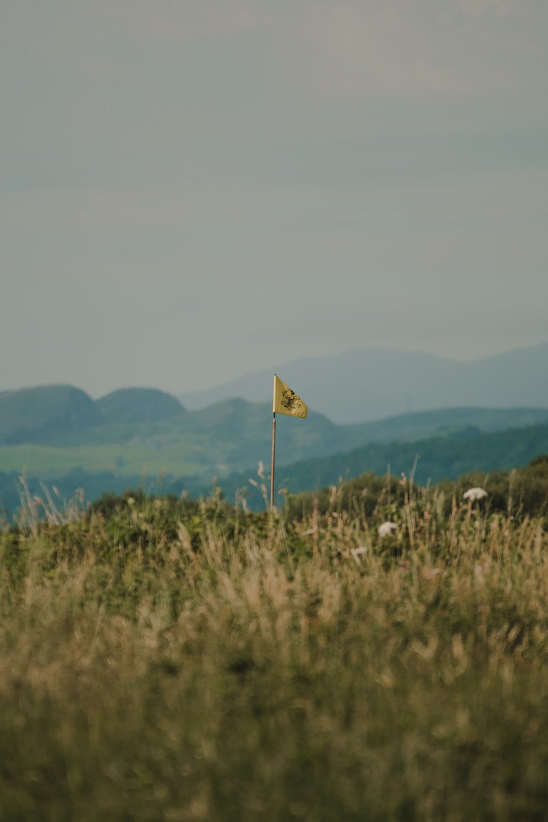 Royal St.David's GC tweet media