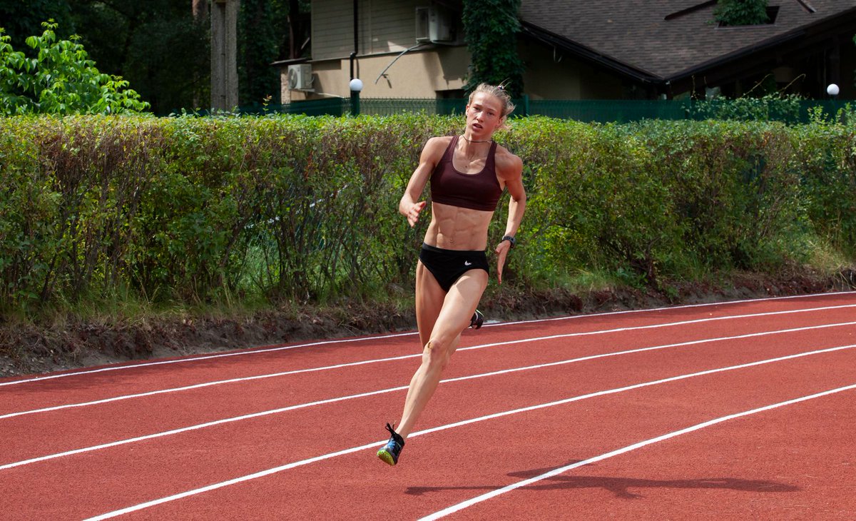 Dzyga's Paw tweet media