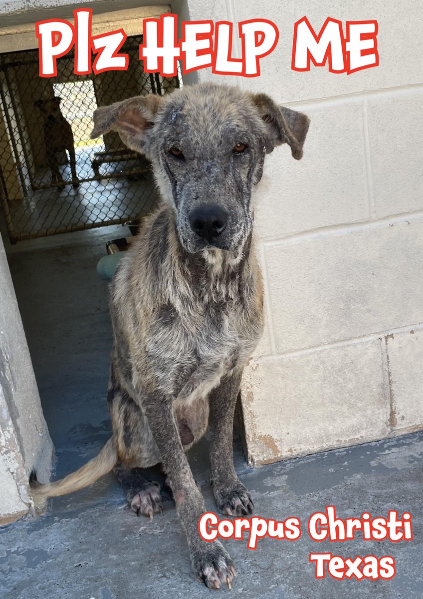 RoCo🇬🇧God Save The King🇬🇧 tweet media