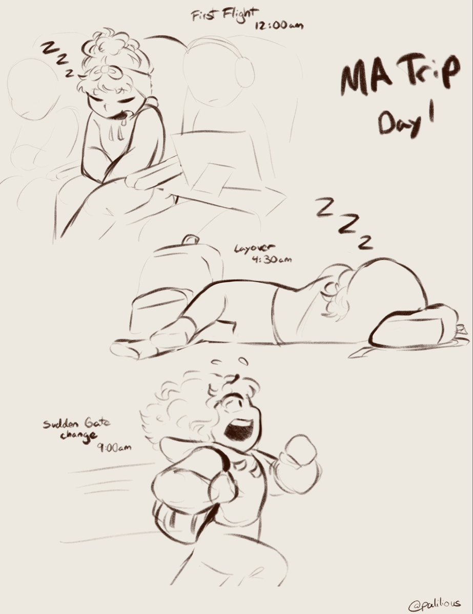 pali.png tweet media